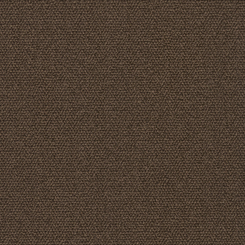M220 camel