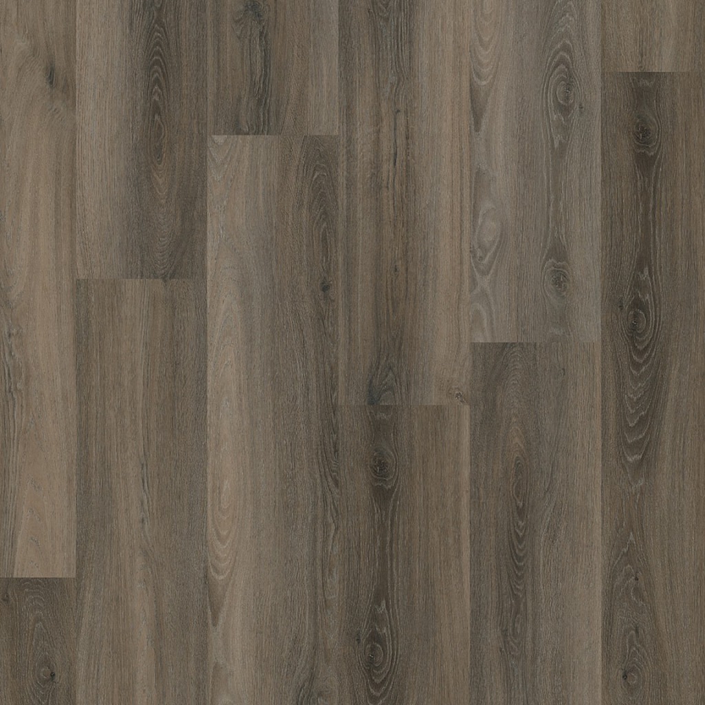 P405 click SRC dark grey