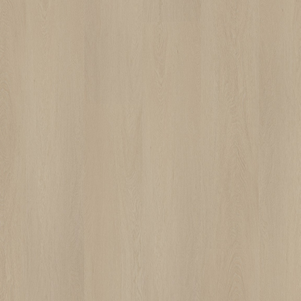 P420 dryback beige