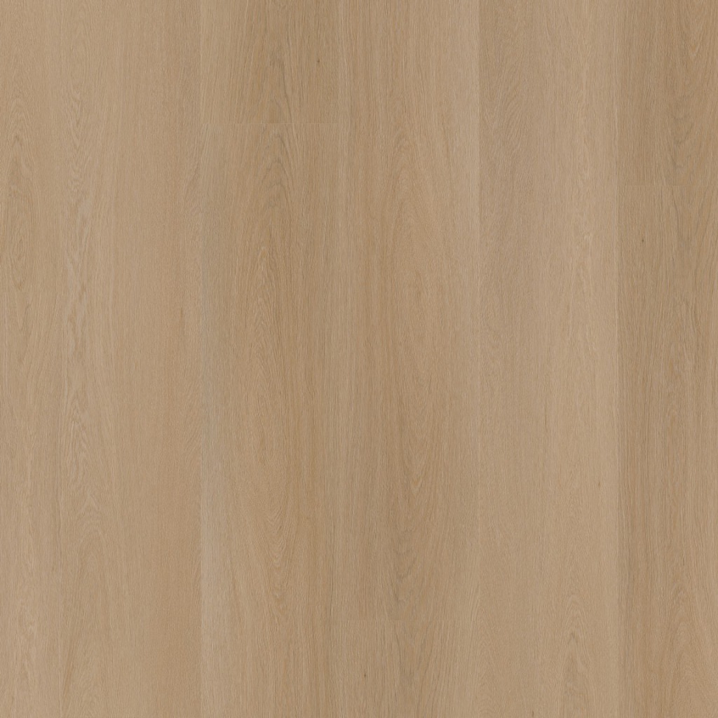 P420 dryback natural oak