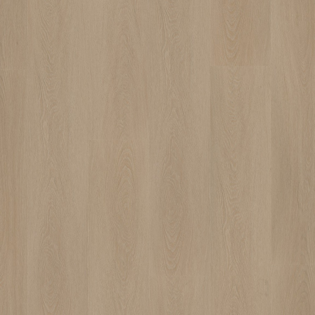 P425 click SRC smoky