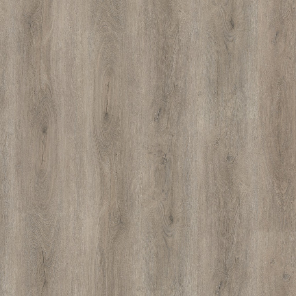 P435 click SRC light grey