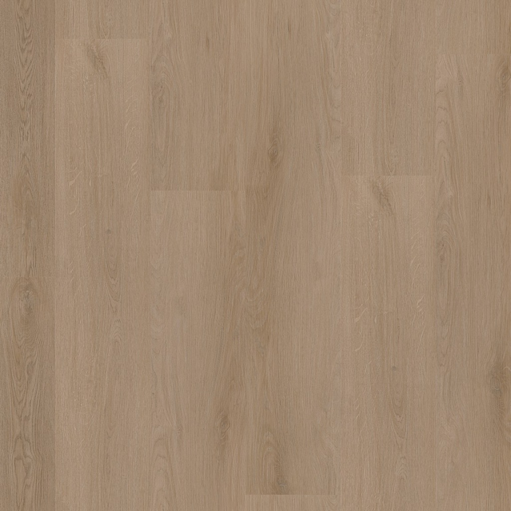 P440 dryback dark oak