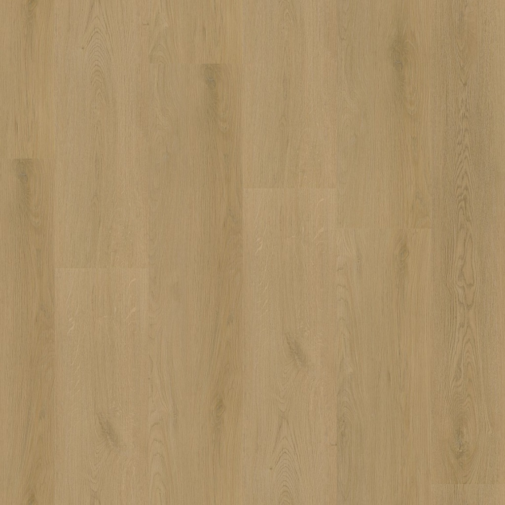 P440 dryback light oak