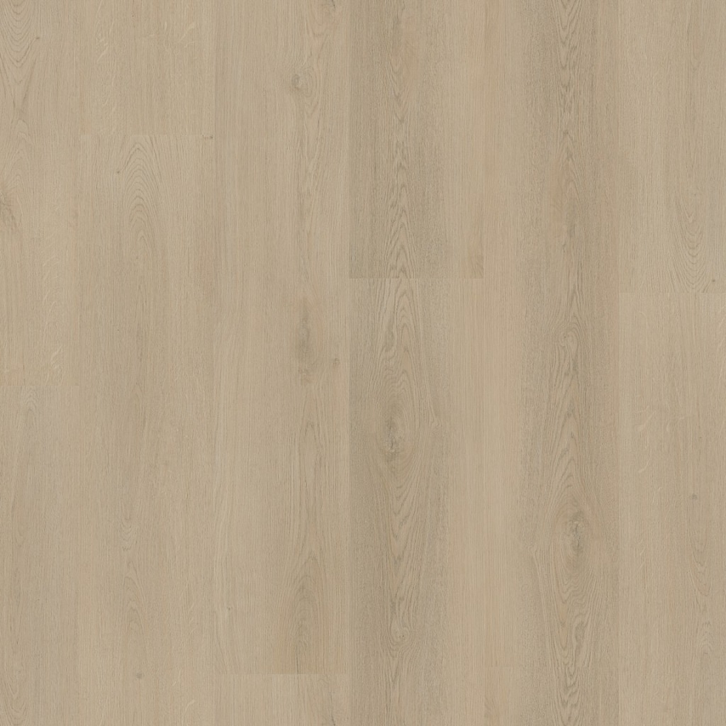 P445 click beige