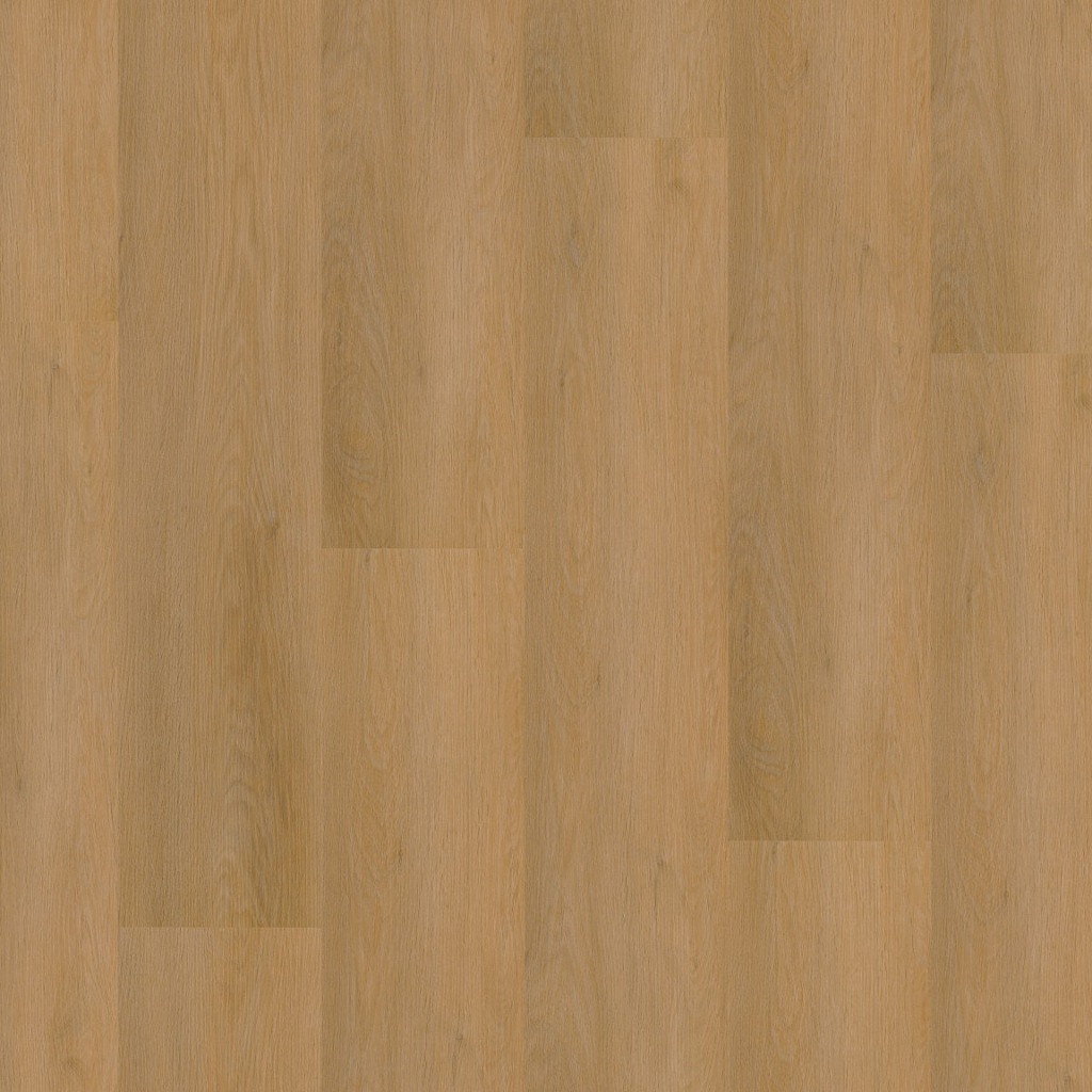P450 dryback dark oak