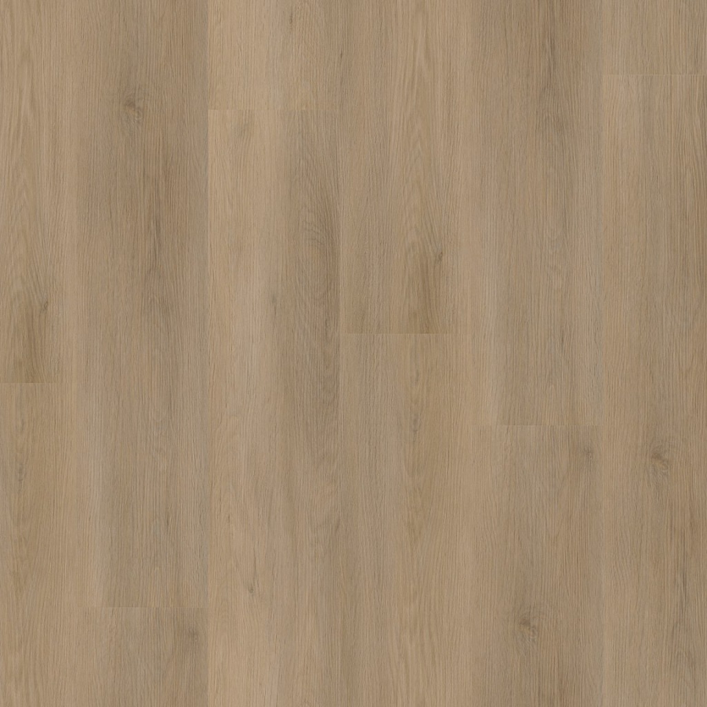 P450 dryback natural oak