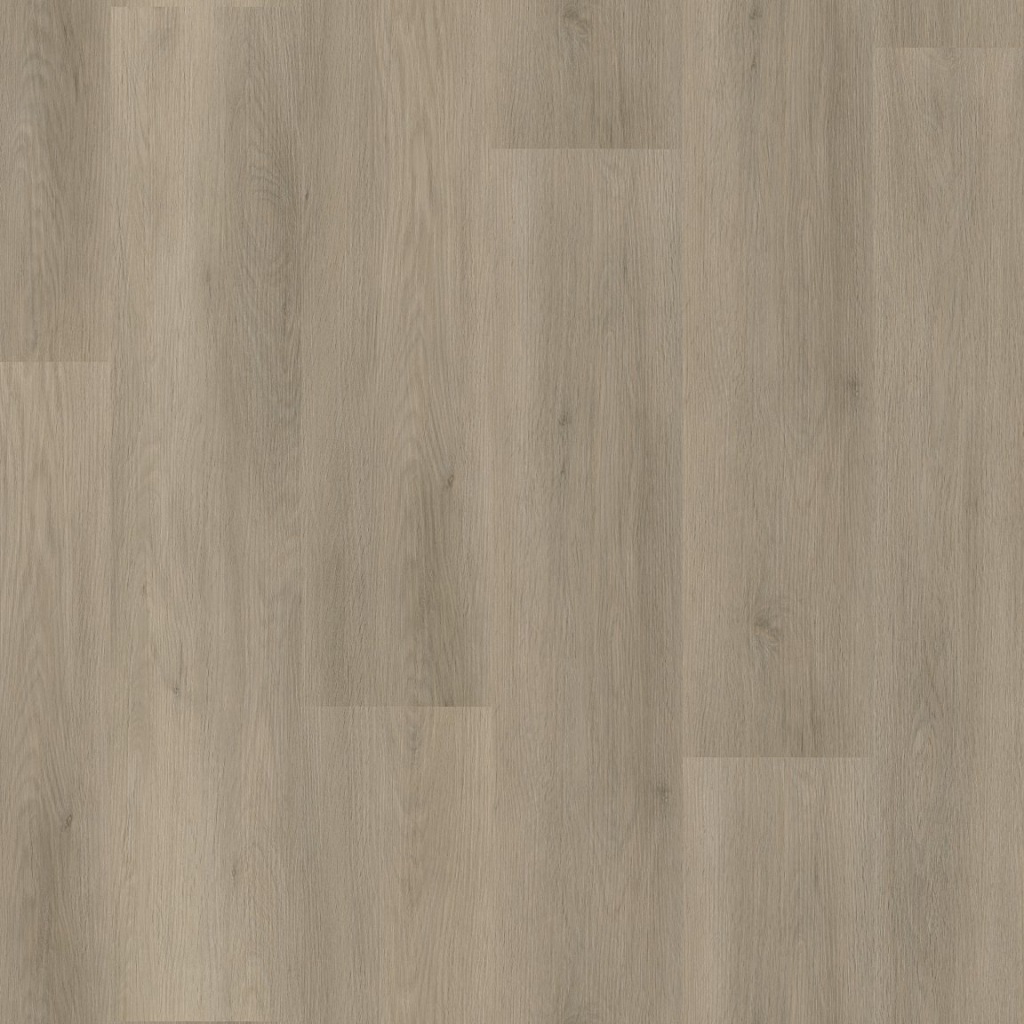 P450 dryback smoky