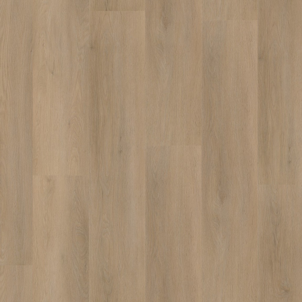 P455 click beige