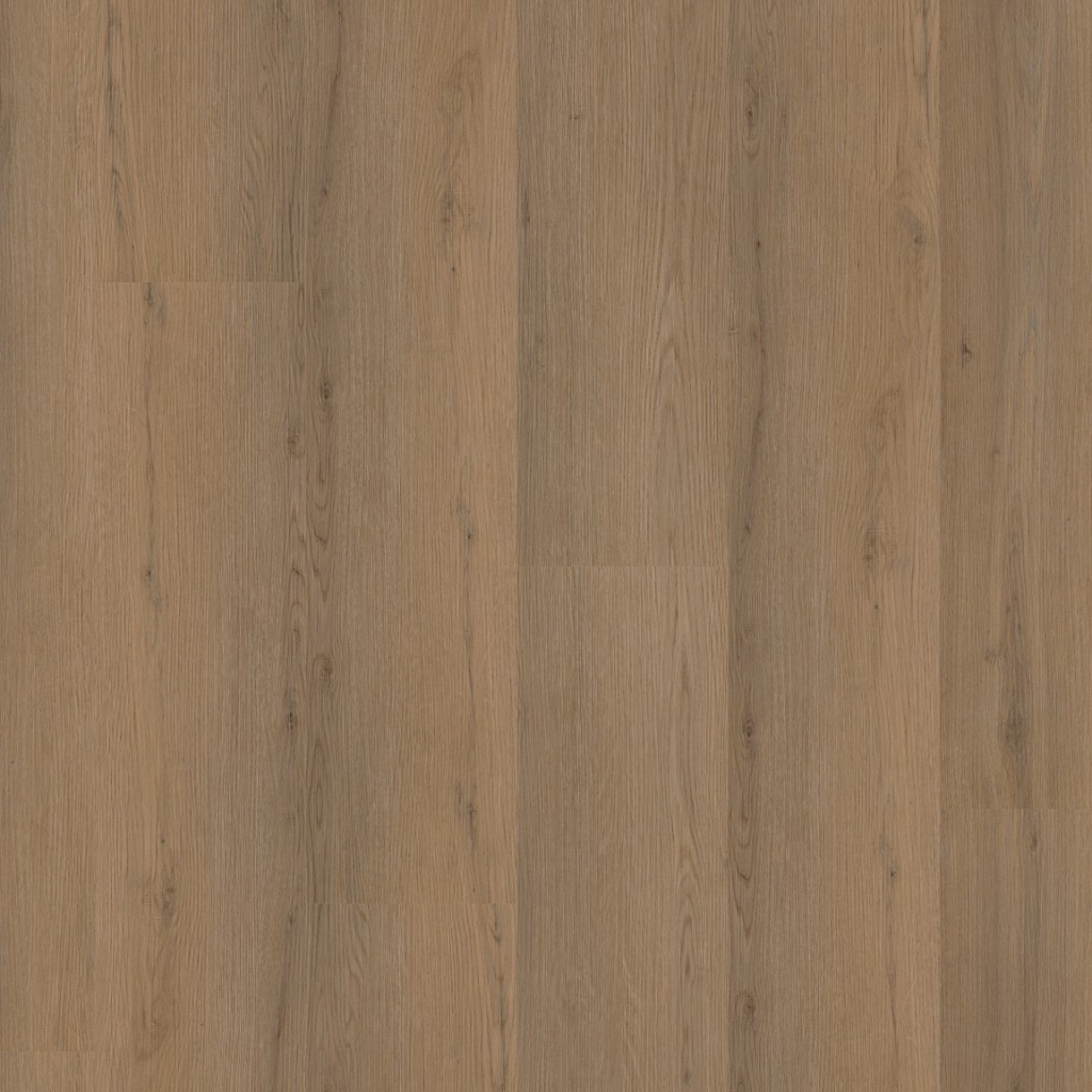 P460 dryback dark oak