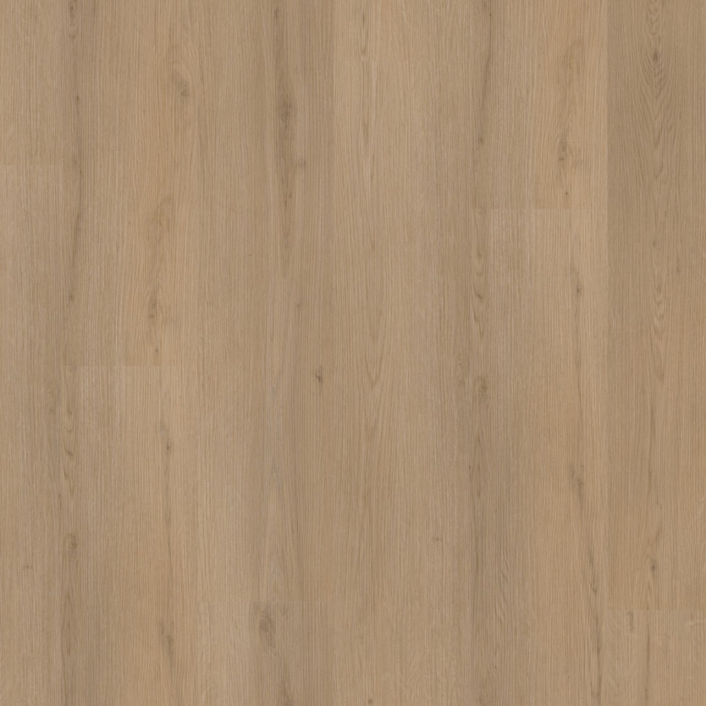 P460 dryback natural oak