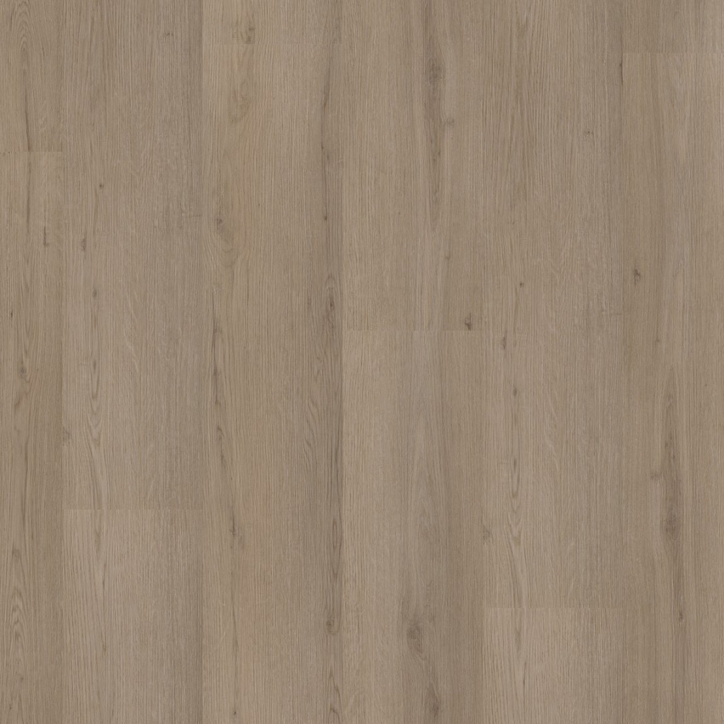 P460 dryback smoky