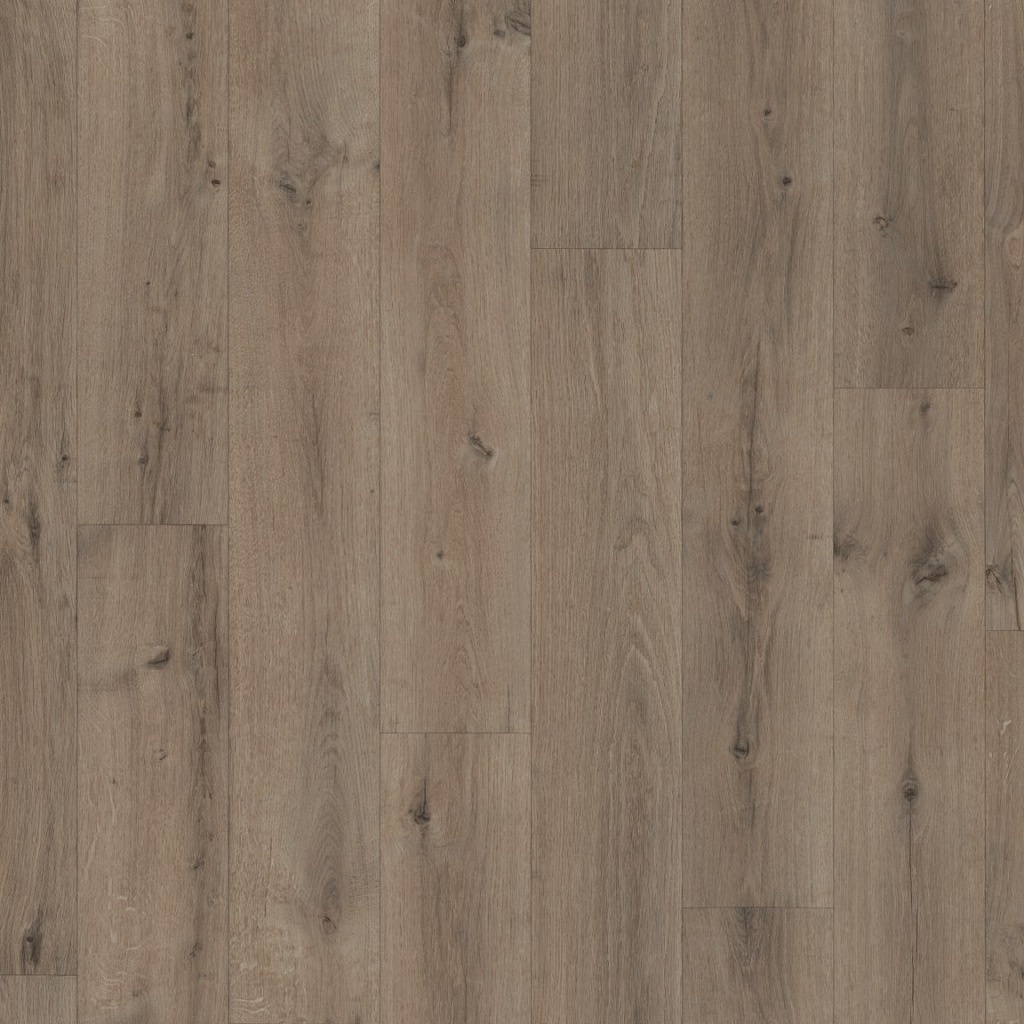 V100 grey brown