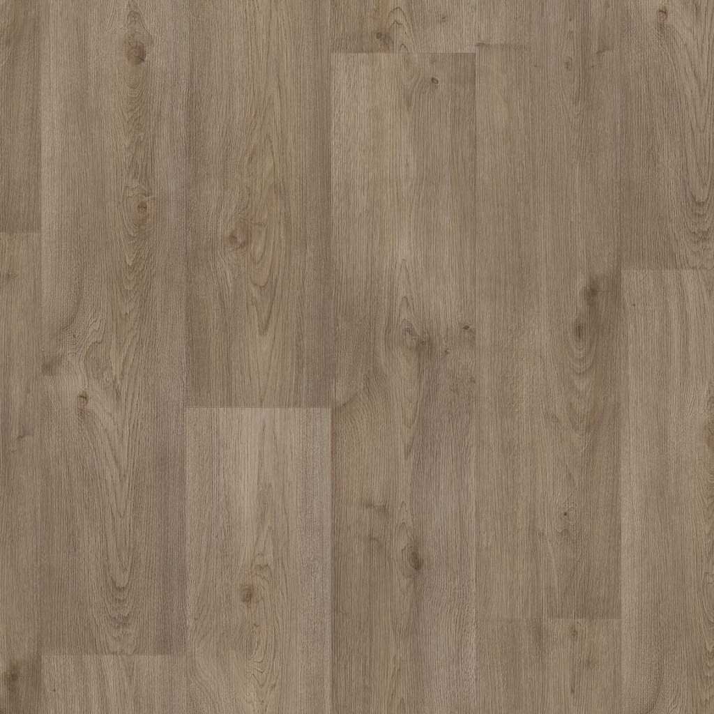 V115 brown