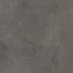 P365 click SRC dark grey