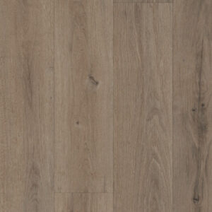 V100 grey brown