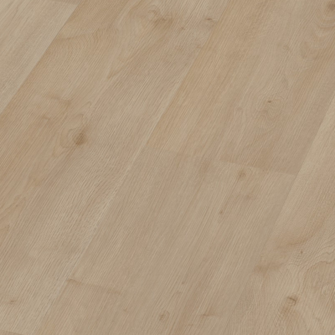 9213580547_1755998153-1.jpg