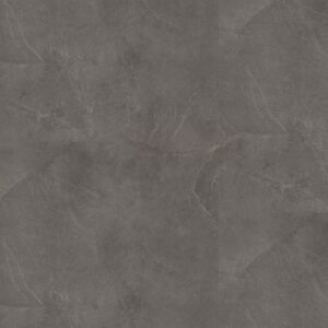 P365 click SRC dark grey